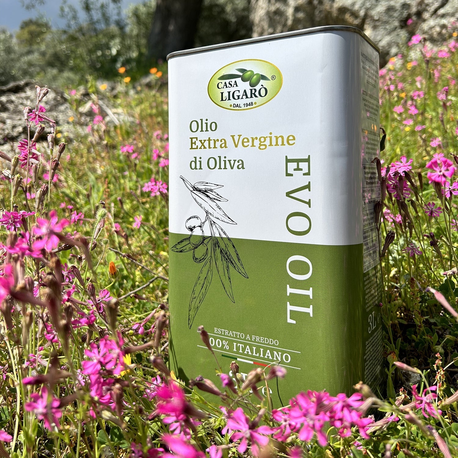 Lo sapevi che l’olio d’oliva aiuta a mantenersi in salute e più giovani?